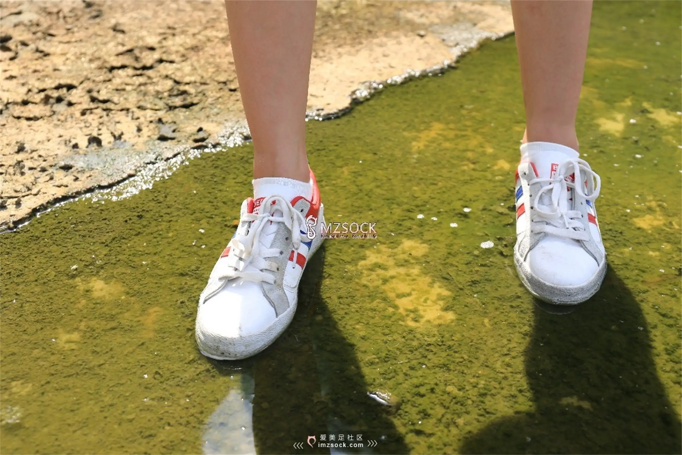 [Mzsock] Love beautiful feet NO.049 Yueyue#[74P]-19